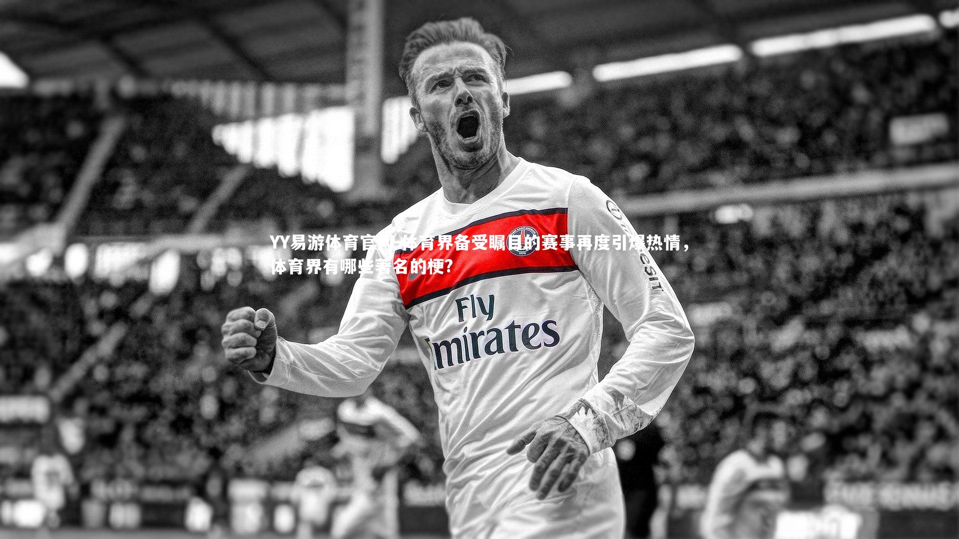 体育界备受瞩目的赛事再度引爆热情，体育界有哪些著名的梗?